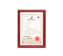 193X219 發(fā)明專利